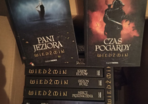 Pudełko a w nim poukładane tomy książek.