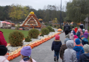 Dzieci idą w parach jedno za drugim. Przed nimi z lewej strony ogromna piramida z dyń różnego gatunku.