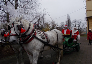 Sanie z Mikołajem stoją na chodniku przed przedszkolem. Dwa konie pięknie przystrojone w krakowskie dzwoneczki i pompony.