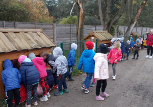 Dzieci obserwują małe króliczki umieszczone w małych, drewnianych domkach.